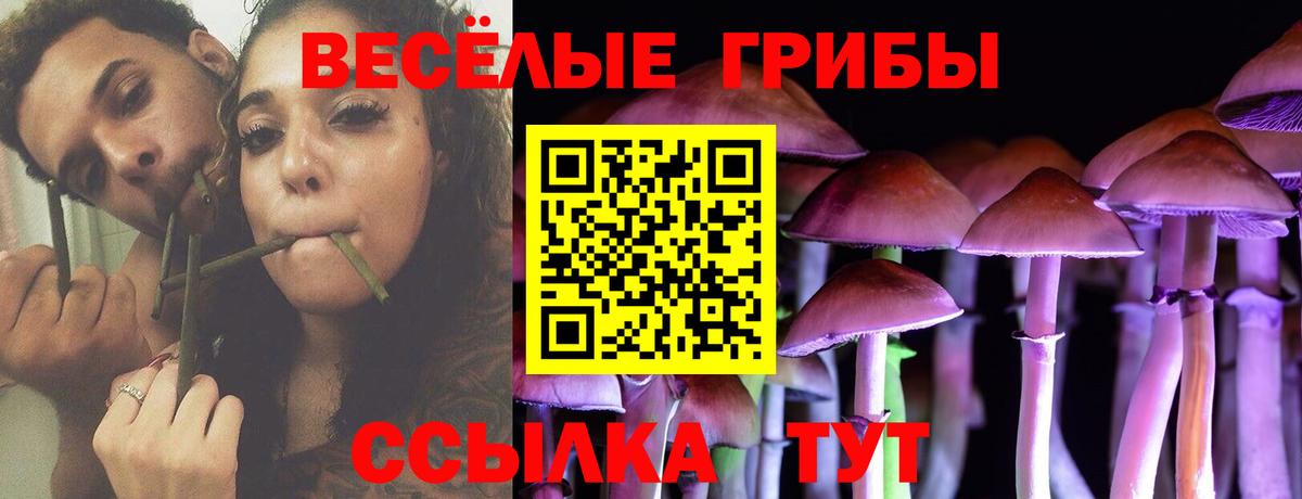 Верхний Уфалей  Псилоцибиновые грибы Psilocybe  Псилоцибиновые грибы мухоморы  Вход с VPN 